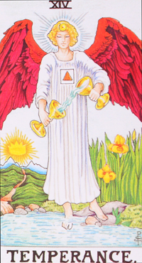 塔羅牌第14張